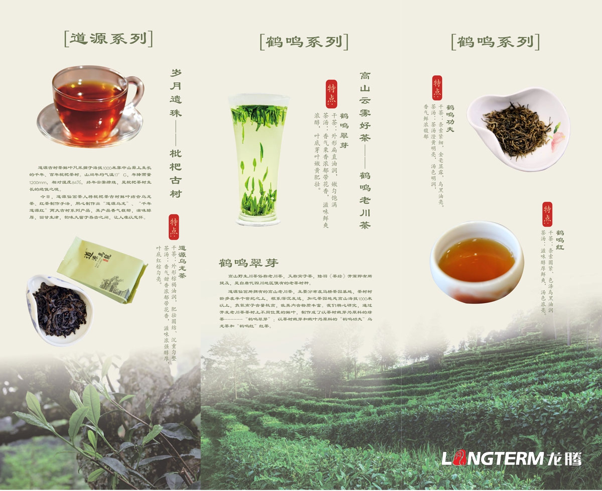 成都道源仙翁茶業(yè)有限公司產(chǎn)品宣傳畫冊設計_大邑縣茶葉折頁廣告物料設計公司